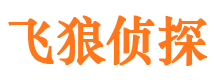 临渭外遇出轨调查取证